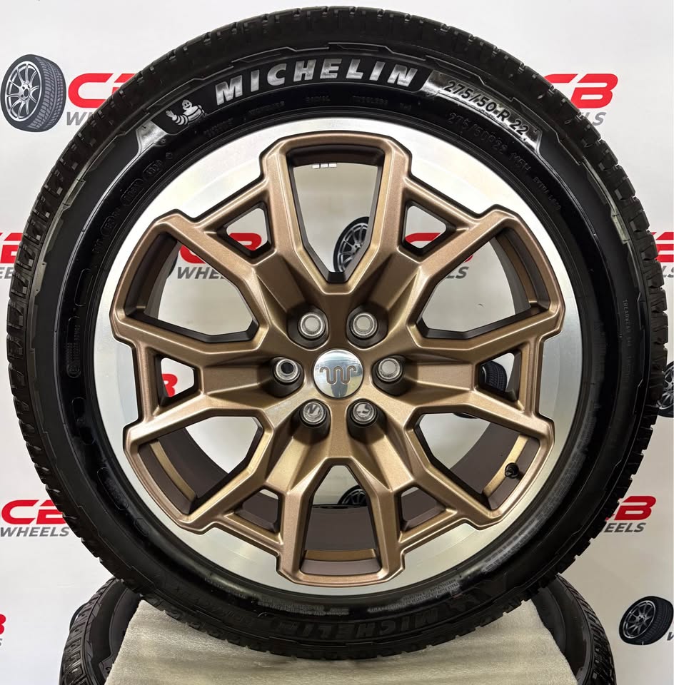 Ford Expedition King Ranch 22" OEM Machined Tan Takeoff Wheels and Tires